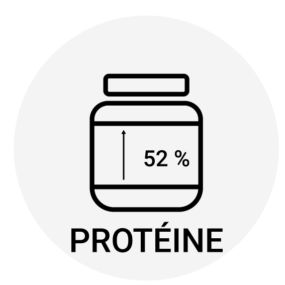 croquette chat taux protéine élevé