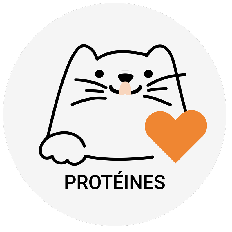 pictogramme de chat d'une marque de croquettes premium savoureuses avec un taux de proteine important